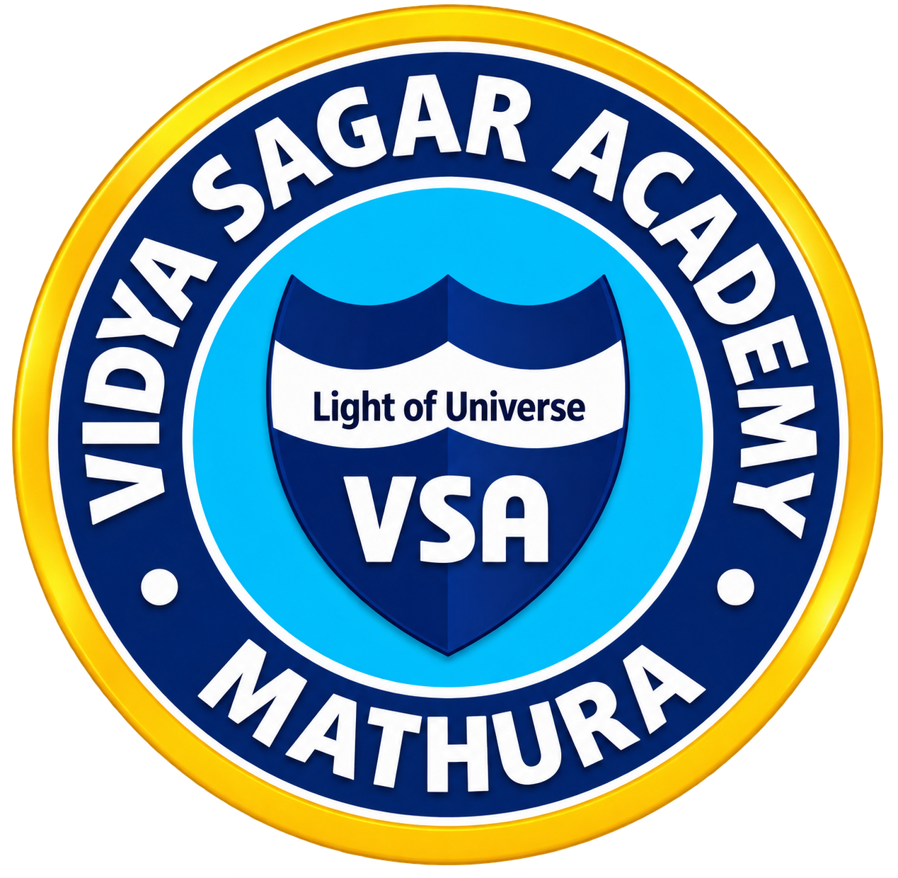 Vidya Sagar Academy Logo